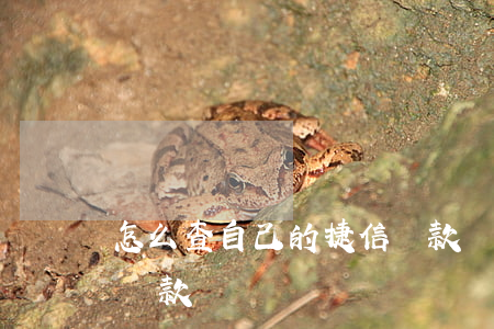 怎么查自己的捷信貸款嗎(怎么查自己的捷信貸款嗎)