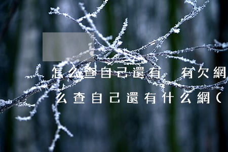 怎么查自己還有沒有欠網(wǎng)貸(怎么查自己還有什么網(wǎng)貸欠款)