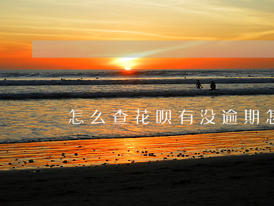 怎么查花呗有没逾期(怎么查花呗有没逾期)