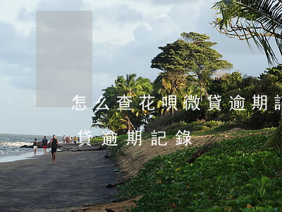 怎么查花唄微貸逾期記錄(支付寶顯示你有微貸逾期記錄)