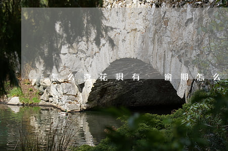 怎么查花唄有沒逾期(怎么查花唄有沒逾期)