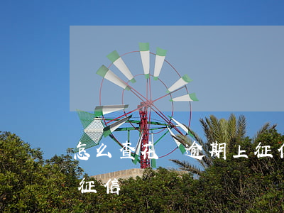 怎么查花唄逾期上征信(花唄怎么查有沒有上征信)