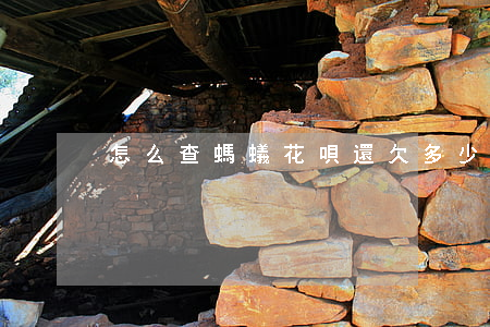 怎么查螞蟻花唄還欠多少錢(qián)
