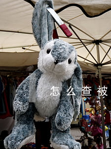 怎么查被电信诈骗案件的进展