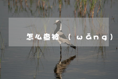 怎么查被網(wǎng)貸起訴了