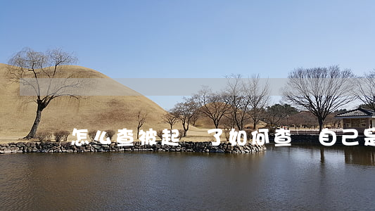 怎么查被起訴了(如何查詢自己是否被起訴)