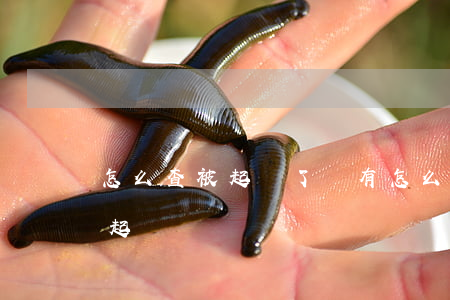 怎么查被起訴了沒有(怎么可以查到有沒有被起訴)