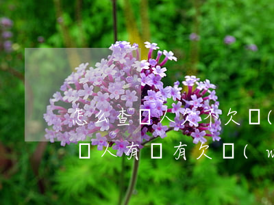 怎么查親人欠不欠網(wǎng)貸(怎么查別人有沒有欠網(wǎng)貸)
