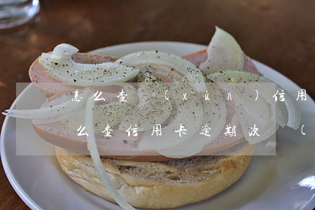 怎么查詢(xún)信用卡歷史逾期日期(怎么查信用卡逾期次數(shù))