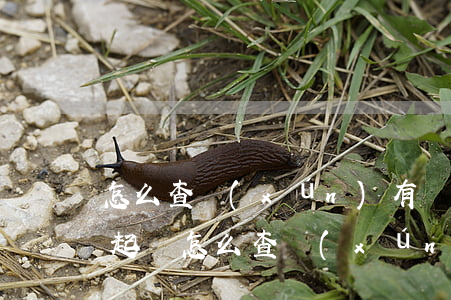 怎么查詢(xún)有沒(méi)有被人起訴(怎么查詢(xún)有沒(méi)有被人起訴)