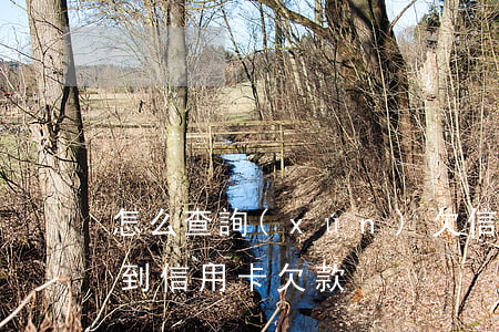 怎么查詢(xún)欠信用卡的人(怎么查得到信用卡欠款)