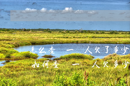怎么查詢一個人欠了多少網(wǎng)貸(如何查詢一個人欠多少網(wǎng)貸)