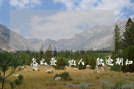 怎么查詢他人貸款逾期(如何查詢貸款逾期)