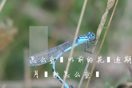 怎么查詢以前的花唄逾期(花唄上個(gè)月還款怎么查詢)