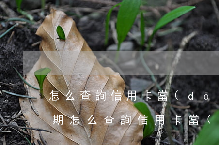 怎么查詢信用卡當(dāng)前是否有逾期(怎么查詢信用卡當(dāng)前是否有逾期)
