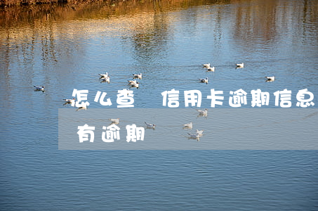 怎么查詢信用卡逾期信息(怎么查信用卡有沒有逾期)