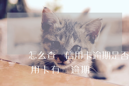 怎么查詢信用卡逾期是否上征信了 怎么查信用卡有沒逾期