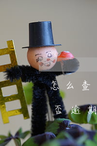 怎么查詢信用卡逾期立案-怎么查信用卡是否逾期