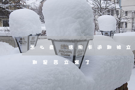 怎么查詢信用卡逾期被立案(怎么查信用卡逾期是否立案了)