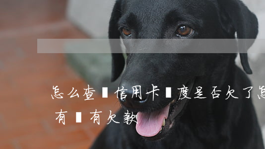 怎么查詢信用卡額度是否欠了(怎么看信用卡有沒有欠款)