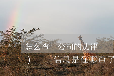 怎么查詢公司的法律訴訟信息(查企業(yè)訴訟信息是在哪查了了)