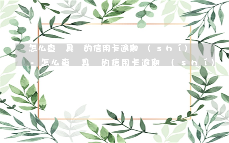 怎么查詢具體的信用卡逾期時(shí)間-怎么查詢具體的信用卡逾期時(shí)間記錄