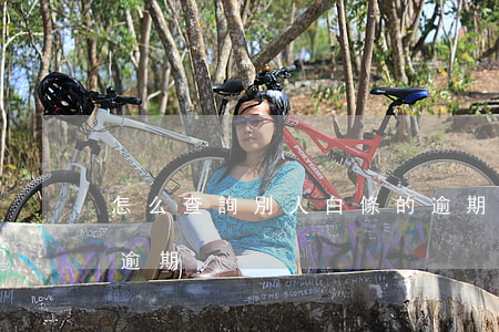 怎么查詢別人白條的逾期記錄(白條怎么查看逾期)