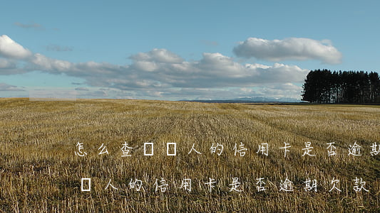 怎么查詢別人的信用卡是否逾期-怎么查詢別人的信用卡是否逾期欠款
