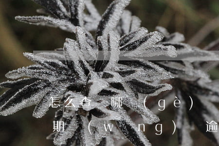 怎么查詢哪個(gè)網(wǎng)貸逾期(網(wǎng)貸逾期怎么查征信)