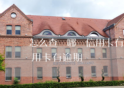 怎么查詢哪個信用卡有逾期(怎么查詢哪個信用卡有逾期)
