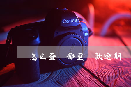 怎么查詢哪里貸款逾期(車貸逾期在哪里查詢)