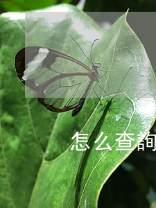 怎么查詢商標(biāo)