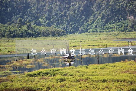 怎么查詢商標(怎么查詢商標屬于哪個公司)