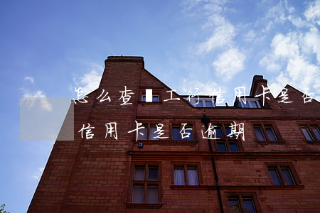 怎么查詢工行信用卡是否逾期(怎么查詢工行信用卡是否逾期)