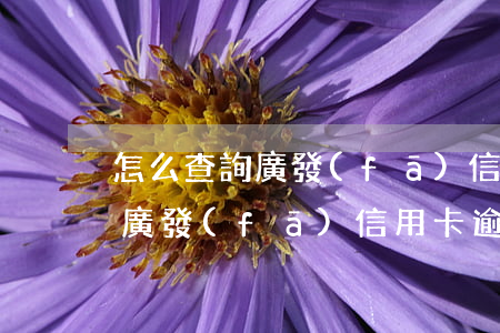 怎么查詢廣發(fā)信用卡逾期(怎么查詢廣發(fā)信用卡逾期)