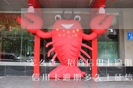怎么查詢招商信用卡逾期多久(怎么查詢招商信用卡逾期多久上征信)