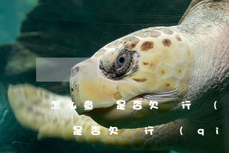 怎么查詢是否欠銀行錢(qián)(怎么查詢是否欠銀行錢(qián))