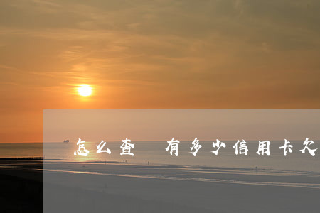 怎么查詢有多少信用卡欠多少錢-