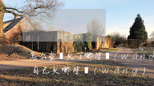 怎么查詢欠了哪些網(wǎng)貸(怎么查自己欠哪些網(wǎng)貸)