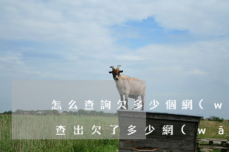 怎么查詢欠多少個網(wǎng)貸(怎么能查出欠了多少網(wǎng)貸)