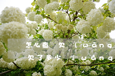 怎么查詢欠網(wǎng)貸多少錢(怎么查欠了多少網(wǎng)貸)