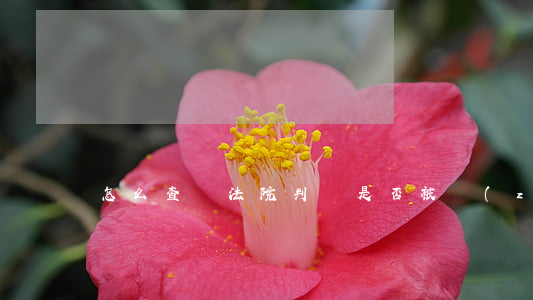 怎么查詢法院判決是否被執(zhí)行