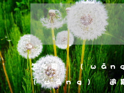 怎么查詢網(wǎng)貸逾期 怎么查詢網(wǎng)貸逾期風(fēng)險