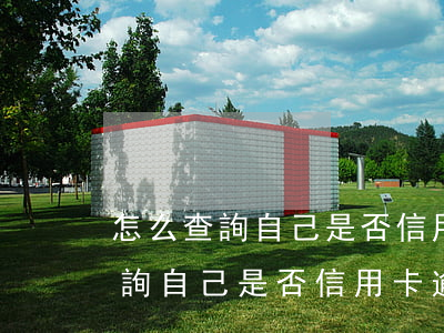 怎么查詢自己是否信用卡逾期還款-怎么查詢自己是否信用卡逾期還款了