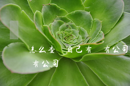 怎么查詢自己有沒有公司(怎么查詢自己是否有公司)