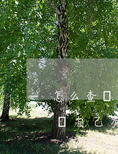 怎么查詢自己有沒有逾期不還的錢-怎么查詢自己有沒有逾期不還的錢呢