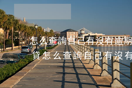 怎么查詢自己有沒有逾期的網(wǎng)貸(怎么查詢自己有沒有逾期的網(wǎng)貸信息)