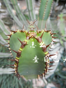 怎么查詢自己欠不欠網(wǎng)貸(怎么查自己是不是欠了網(wǎng)貸)