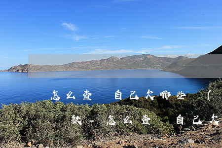 怎么查詢自己欠哪些網(wǎng)貸平臺貸款-怎么查詢自己欠哪些網(wǎng)貸平臺貸款了