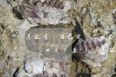 怎么查詢自己欠網(wǎng)貸沒有(欠的網(wǎng)貸怎么可以查到)
